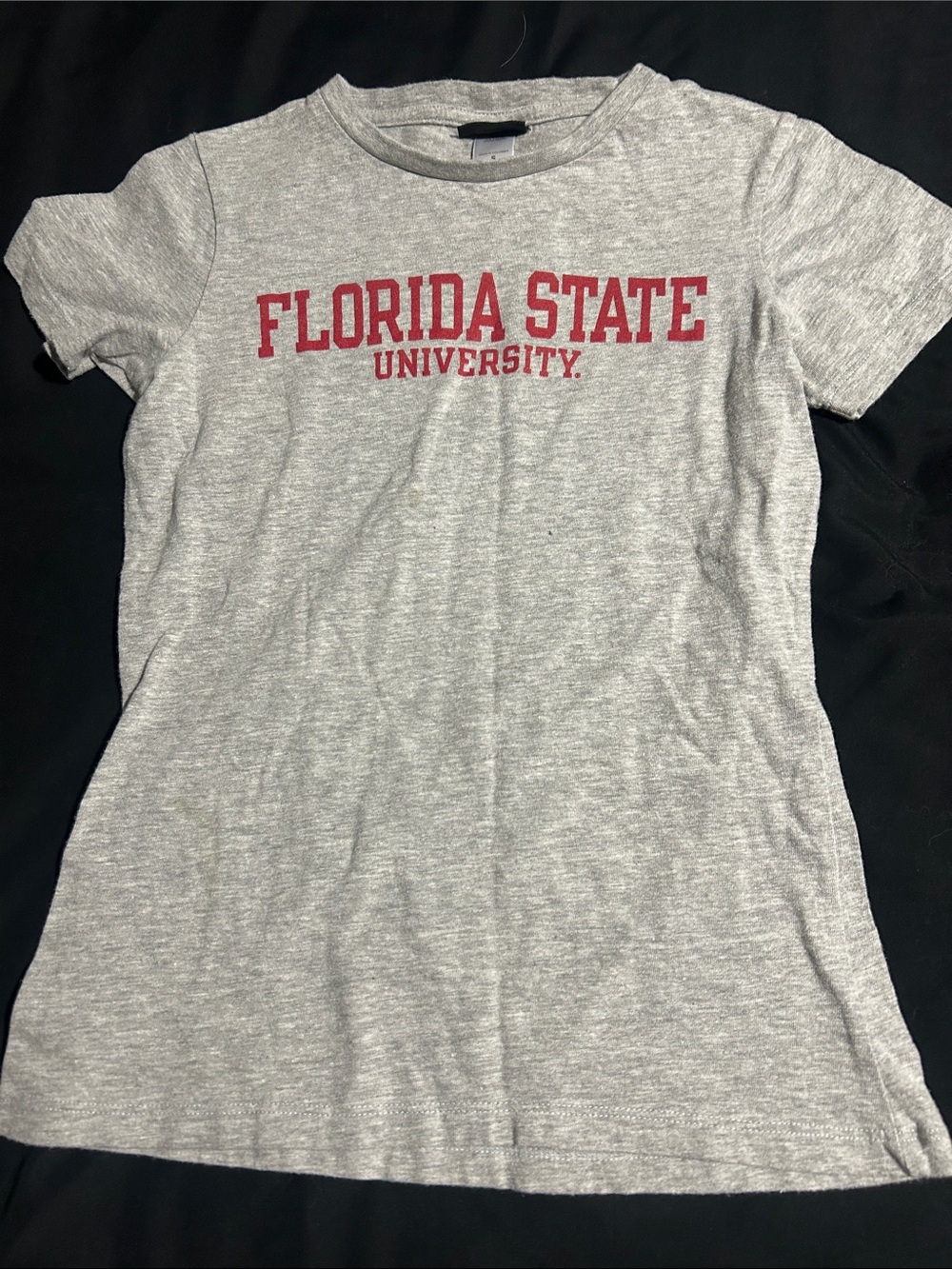 Champion Gray Florida State University Short Sleeve Tee with Red Logo